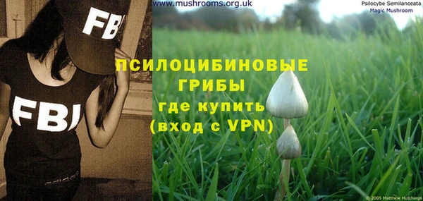 не бодяженный Аркадак