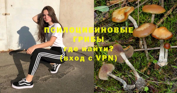 гидра Баксан