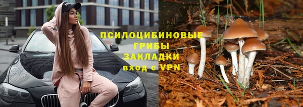 гидра Баксан